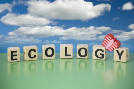 Word ECOLOGY made of letters on wooden blocks  Concept of ecological, healthy world の写真素材