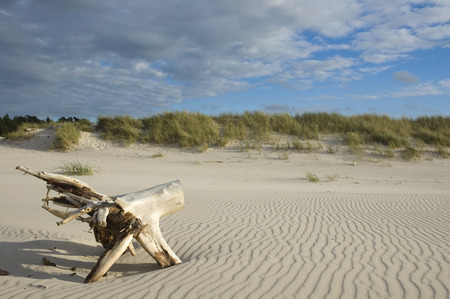 Baltic Sea coast in Slowinski National Park, Polandの写真素材