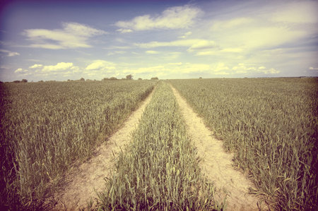 Vintage view of country road running through field