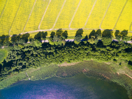 Aerial view of rural landscape of lake district - Mazury, Poland. Mamry Lake on the bottom