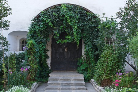 door in an old building among the foliageの写真素材