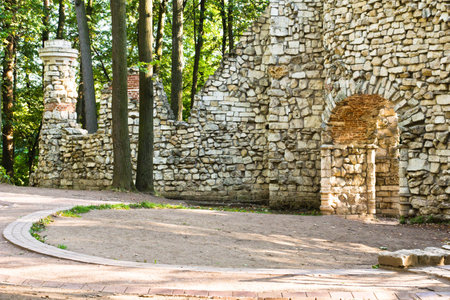 ruins of an ancient fortress in the summer forestの写真素材
