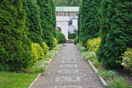 road through the park to the old buildingの写真素材