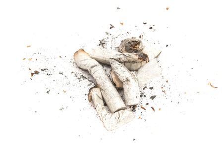 heap of cigarette  with filterの写真素材