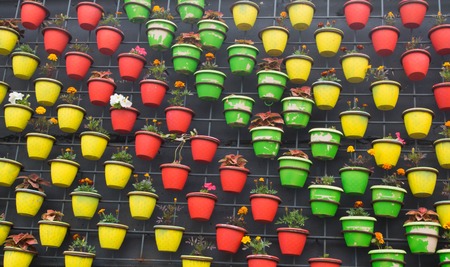 many colored flower pots on the wallの写真素材