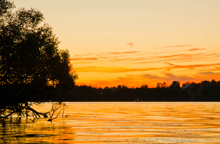 forest and beautiful sunset over the lake in summerの写真素材