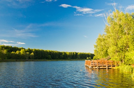 wooden pier on a pond in the summerの写真素材