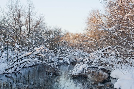 river in forest on a winter dayの写真素材