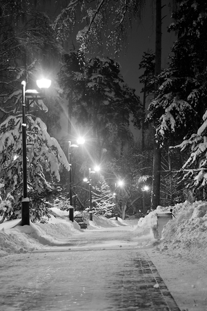 snowy trail and street light in winter evening black and whiteの写真素材