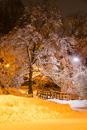 wooden bridge in city park at winter eveningの写真素材