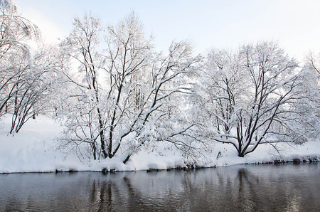 river and trees in the snow on the shore in winterの写真素材
