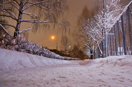 snowy trail and trees in evening winter parkの写真素材