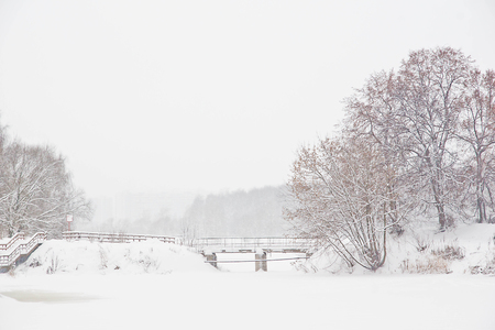 trees and bridge in the park in winterの写真素材