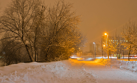street lamp and trail in the snow in parkの写真素材