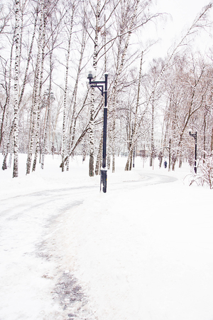 street lamp and trail in the city park in winterの写真素材