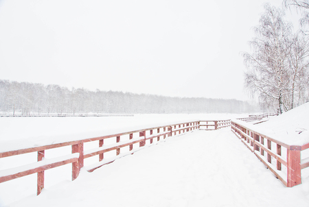 wooden fence in the park in winterの写真素材