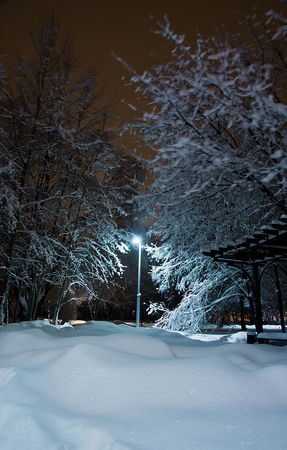 street lamp, trees and snowdrifts in the winter parkの写真素材