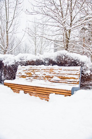 snowy wooden bench in the winter parkの写真素材