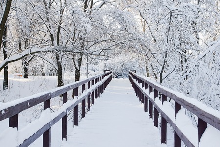 bridge and trees under the snow in the parkの写真素材