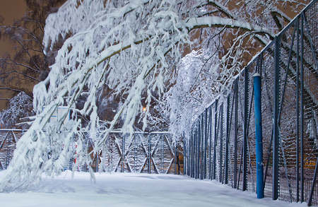 playground and trees in the snow in the eveningの写真素材
