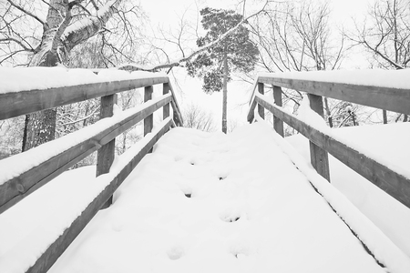 staircase under snow in the city park in winter black and whiteの写真素材