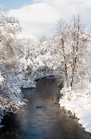 river and trees in the snow on a shoreの写真素材