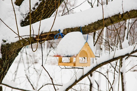 bird feeder on a tree in winter parkの写真素材