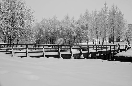 bridge in the winter park in the evening black and whiteの写真素材