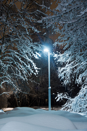 street lamp, trees and snowdrifts in the winter park in the eveningの写真素材