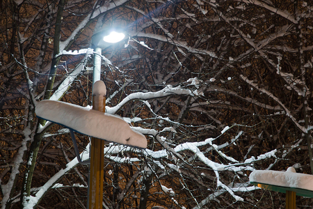 branches under the snow and a street lamp in a city parkの写真素材