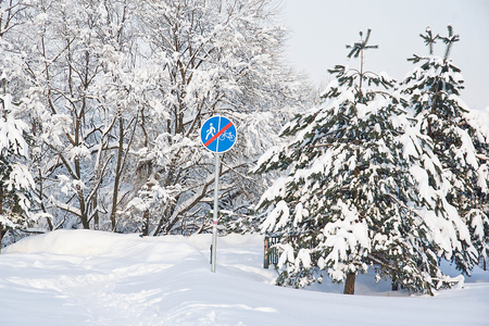 spruce and road sign under the snow on a winter dayの写真素材