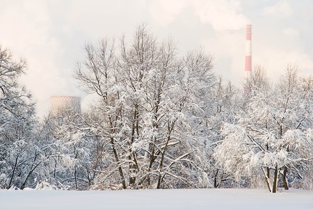 factory pipes and trees in the snow in winterの写真素材