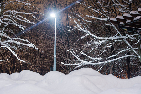 street lamp, snowdrifts and trees under snowの写真素材