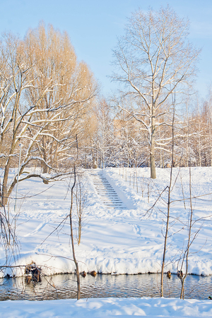 Stairs and ducks on a river in winter parkの写真素材