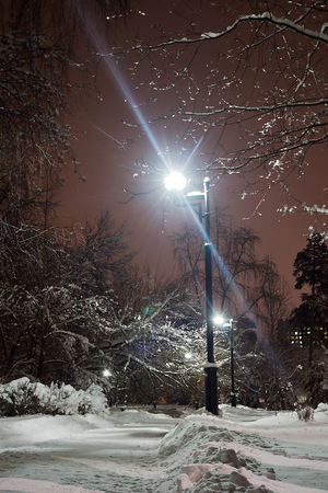 street lights and footpath in the snow in winter parkの写真素材