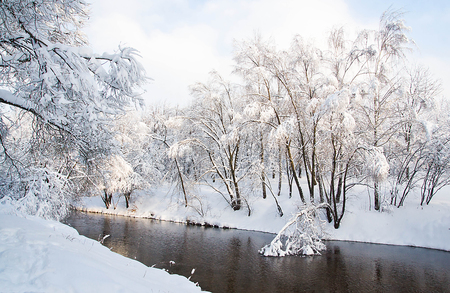 river and trees under snow on winter dayの写真素材