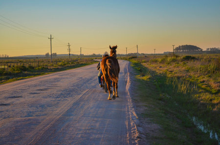 Motorcycle followed by a horse on Valizas path at sunset.の写真素材