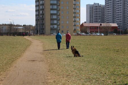 Two persons walking with dog on the field near the townの写真素材