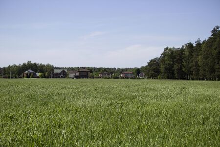 Village houses along the filed near the forestの写真素材