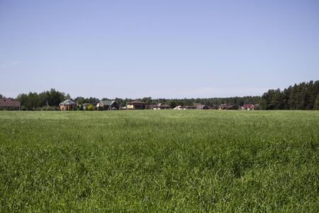 Village houses along the filed near the forestの写真素材