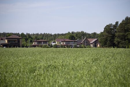 Village houses along the filed near the forestの写真素材