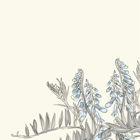 hand drawn greeting cardのイラスト素材