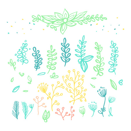 Set of hand drawn doodle plants, vector illustrationのイラスト素材