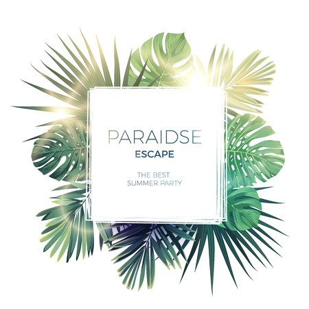 Green summer tropical background with exotic palm leaves and plants. Vector floral background.のイラスト素材