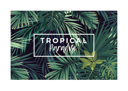 Dark vector tropical typography design with green jungle palm leaves.のイラスト素材
