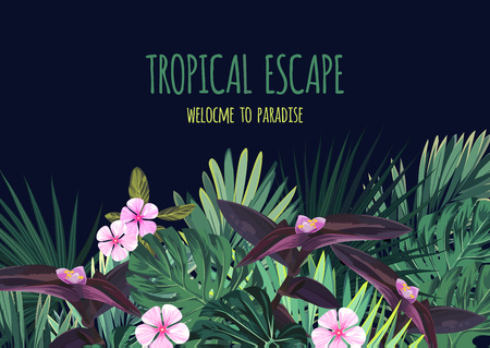 Floral horizontal postcard design with tropical flowers, monstera and royal palm leaves. Exotic hawaiian vector background.のイラスト素材