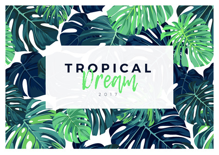 Summer vector tropical design with green monstera palm leaves.の写真素材