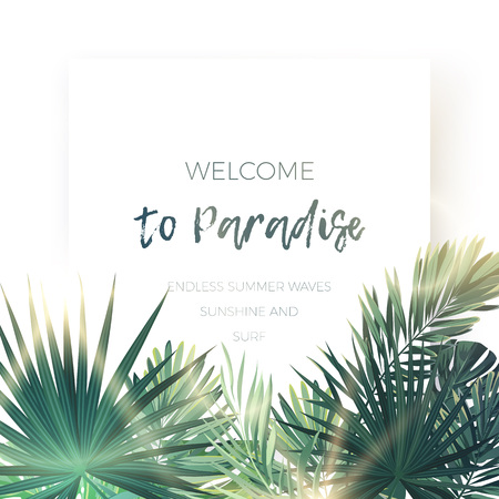 Green summer tropical background with exotic palm leaves and plants. Vector floral background.のイラスト素材