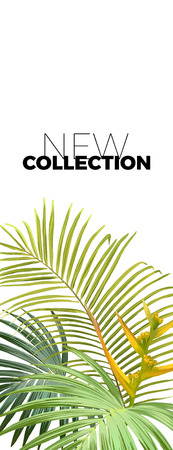 Summer tropical fashion design with exotic palm leaves and plants. Jungle vector floral template for new collection flyer or banner. Vector illustration.のイラスト素材