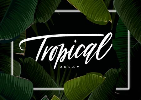 Dark tropical summer design with banana palm leaves, glowing frame and space for text. Vector flyer, banner or card template. Summer vector background.のイラスト素材